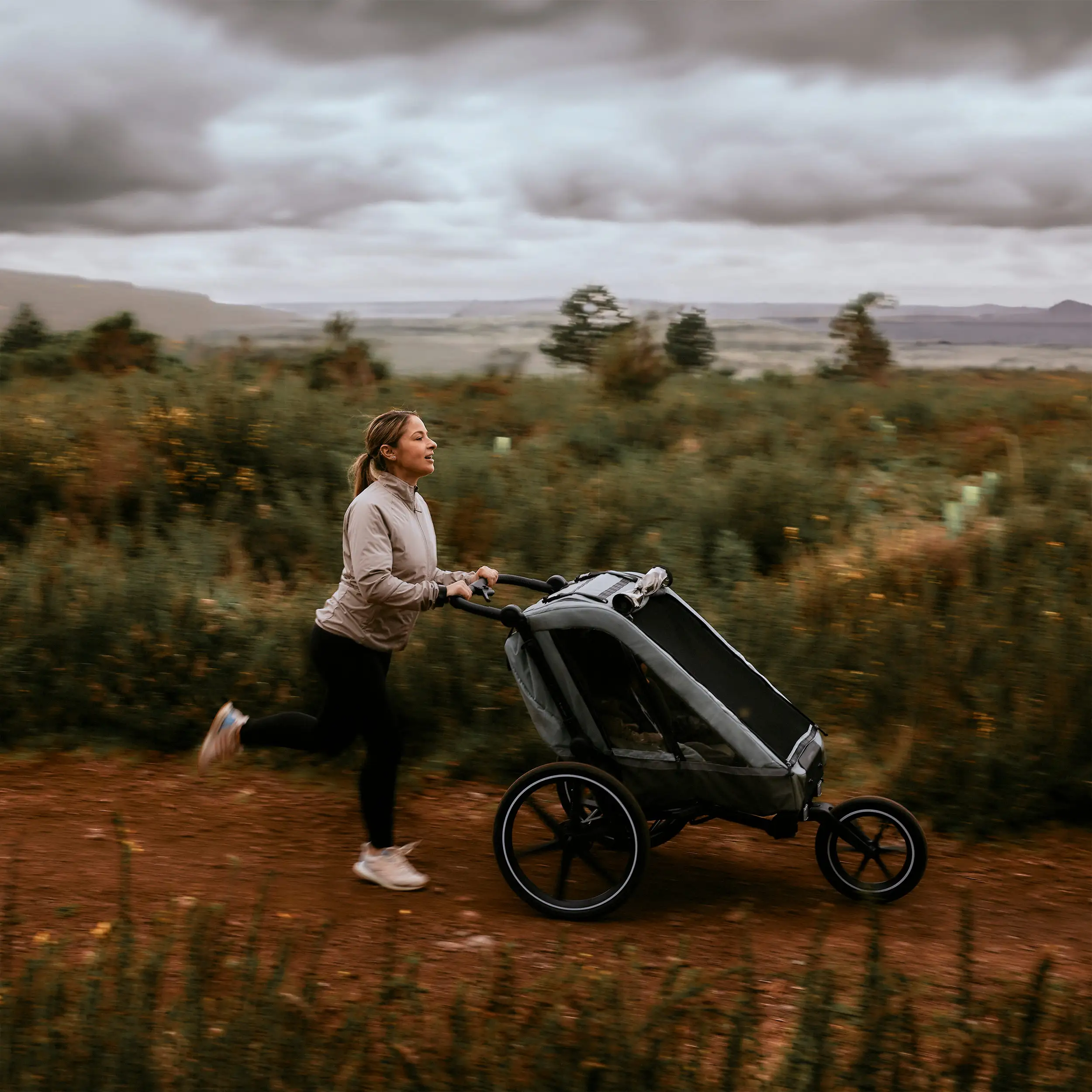 Remolque para bicicleta Tour 2 con 2 cómodos asientos y ruedas neumáticas - Olive