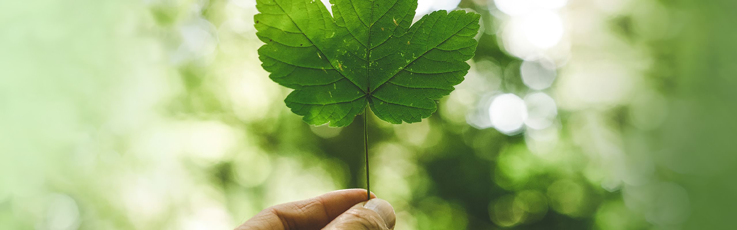 Botella de plástico