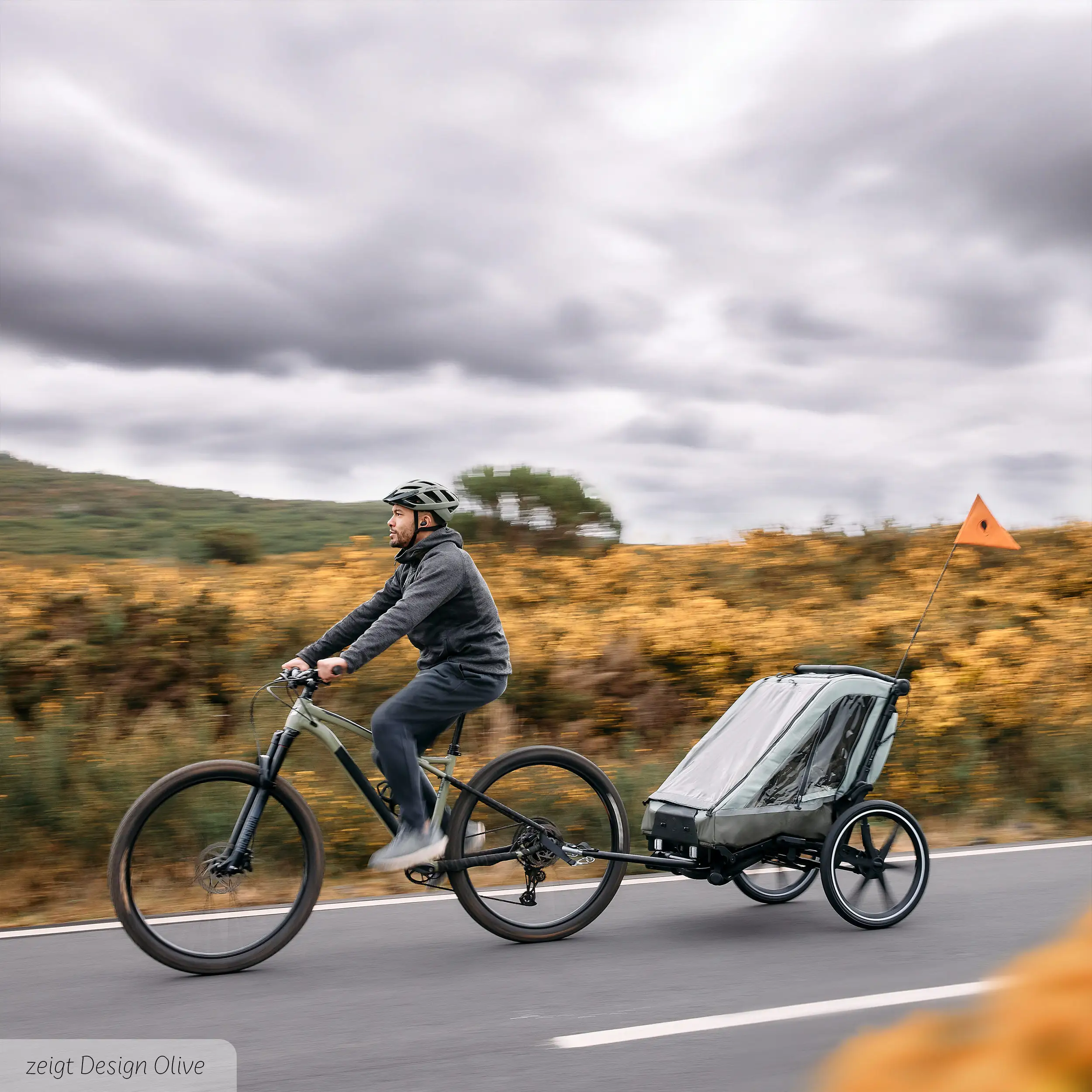 Remolque para bicicleta Tour 2 con 2 cómodos asientos y ruedas neumáticas - Falcon