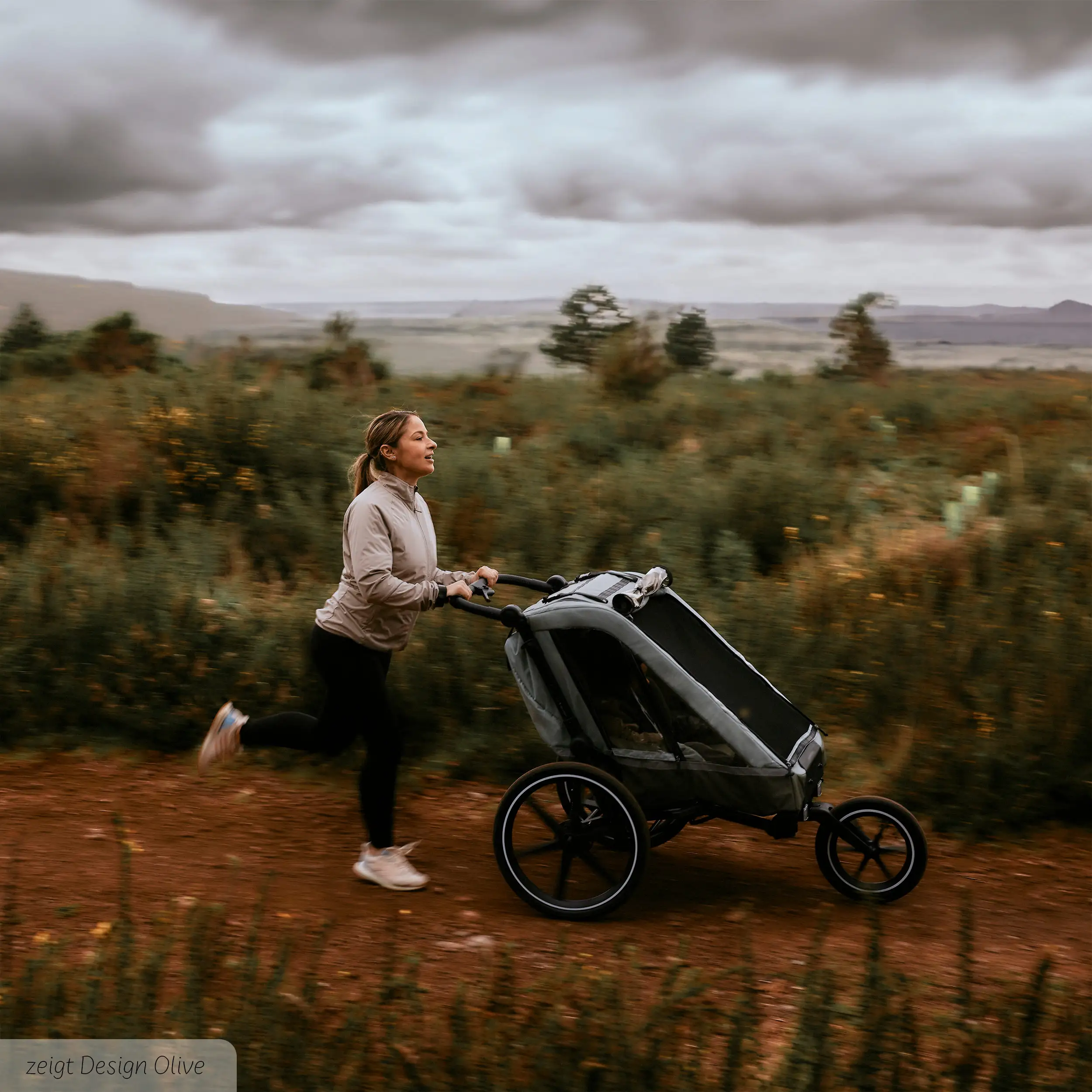 Remolque para bicicleta Tour 2 con 2 cómodos asientos y ruedas neumáticas - Falcon