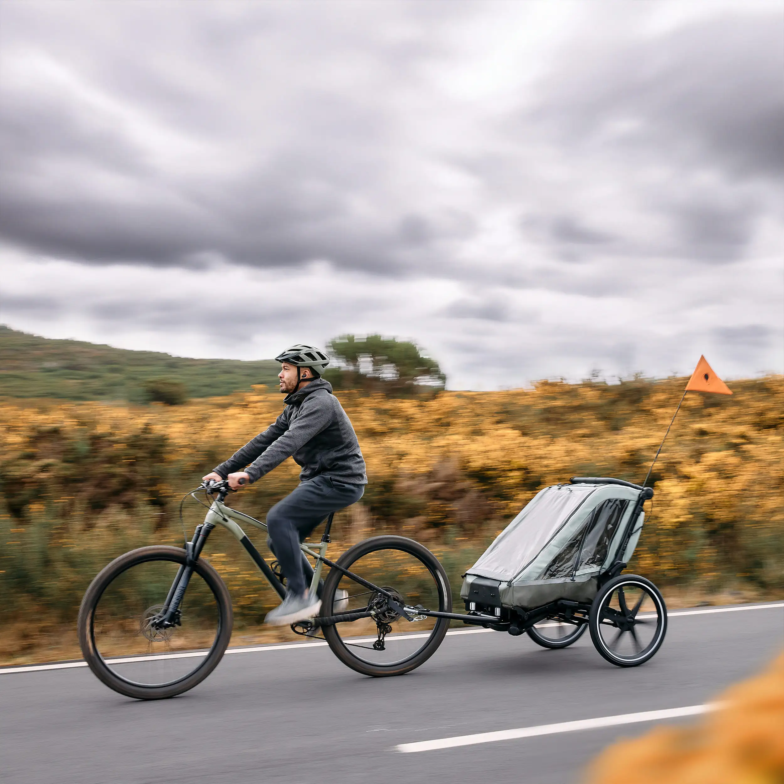 Remolque para bicicleta Tour 2 con 2 cómodos asientos y ruedas neumáticas - Olive