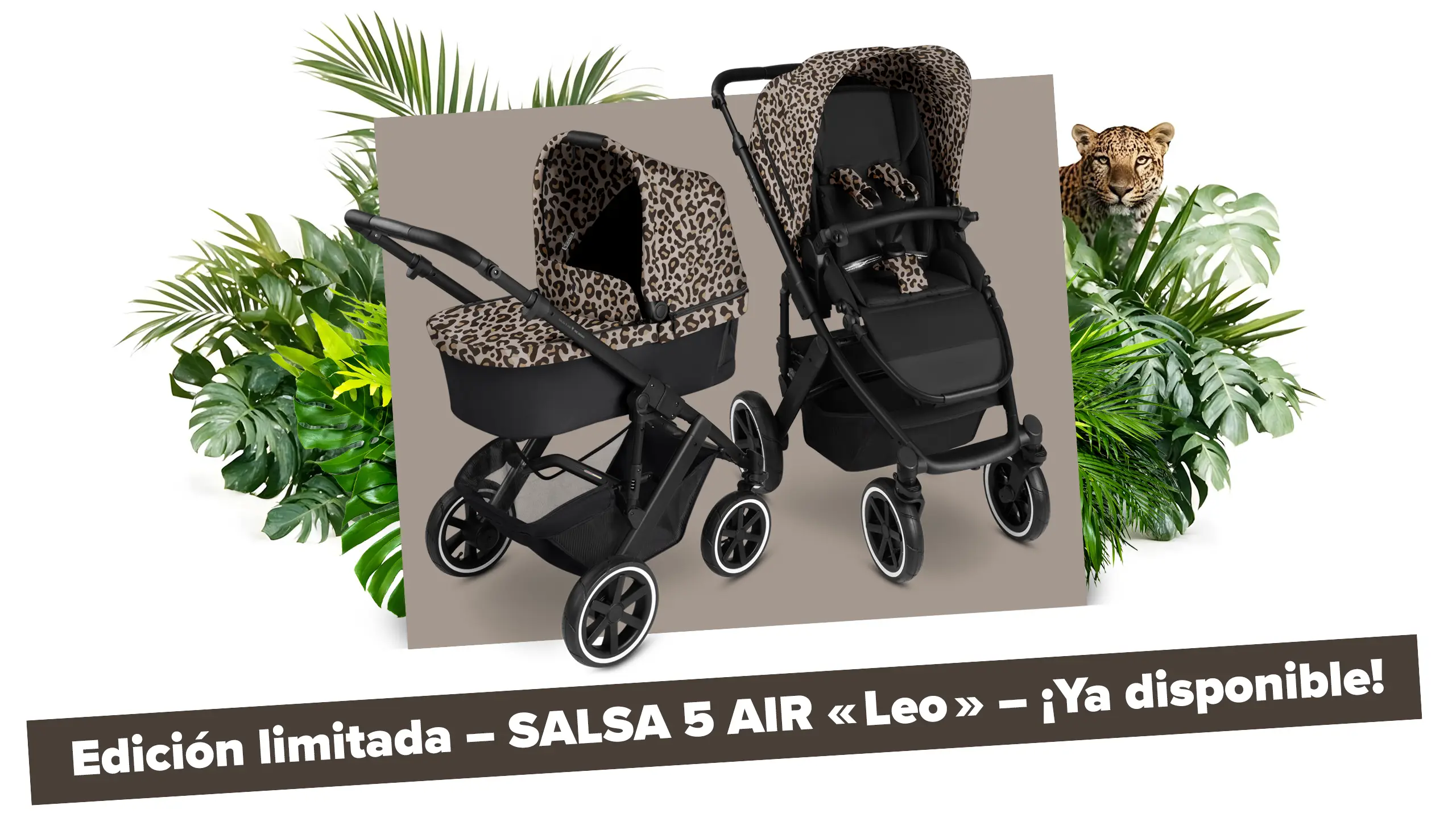 Salsa 5 Air Leo